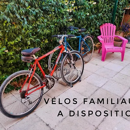 Escale Bord De Antibes